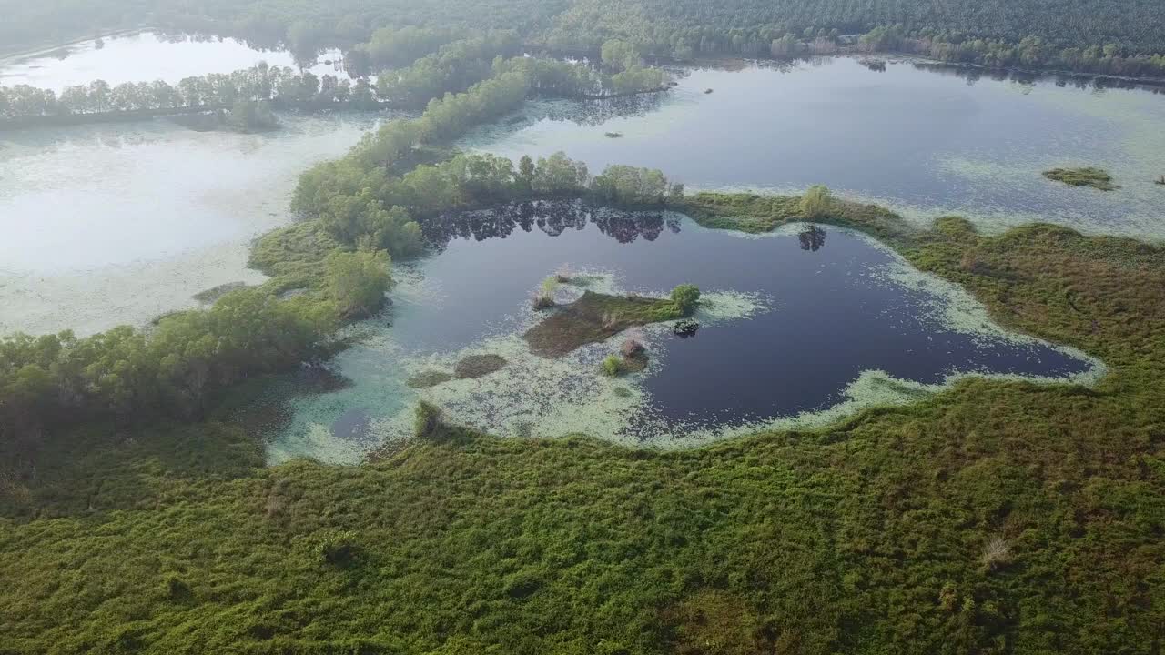 无人机拍摄马来西亚湿地视频素材