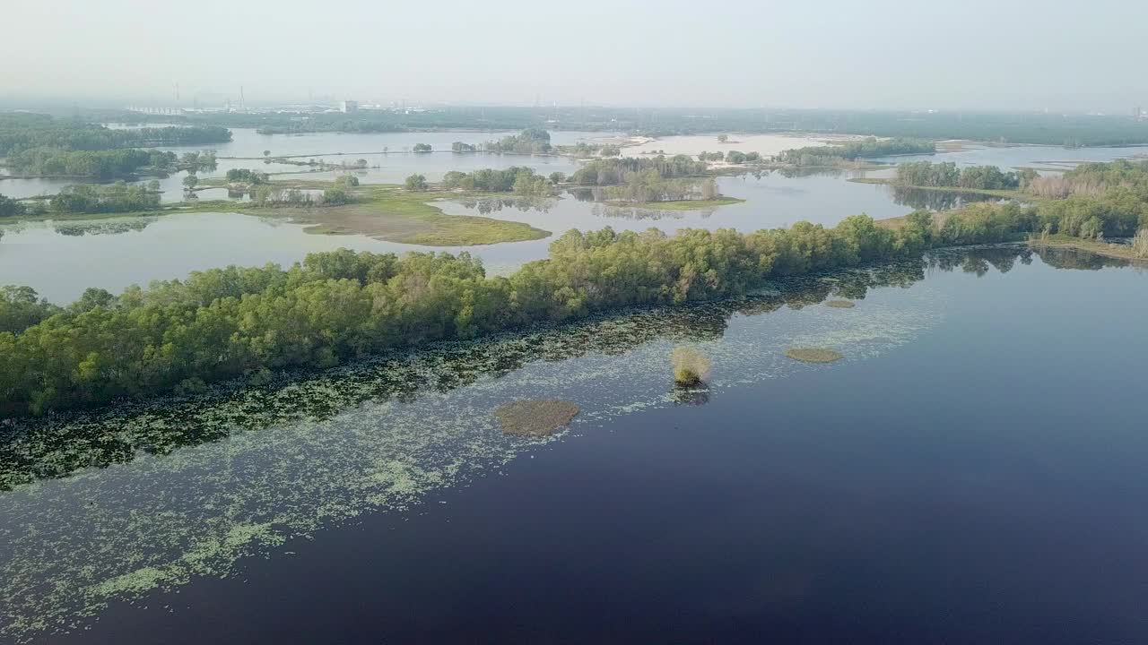 无人机拍摄马来西亚湿地视频素材