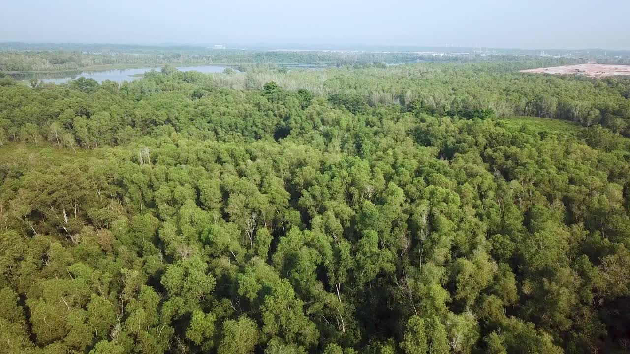 无人机拍摄马来西亚湿地视频素材