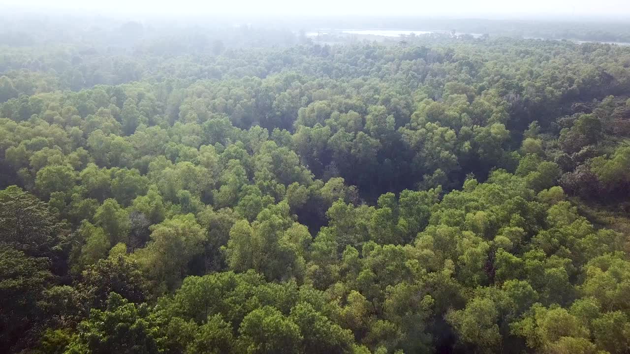 无人机拍摄马来西亚湿地视频素材