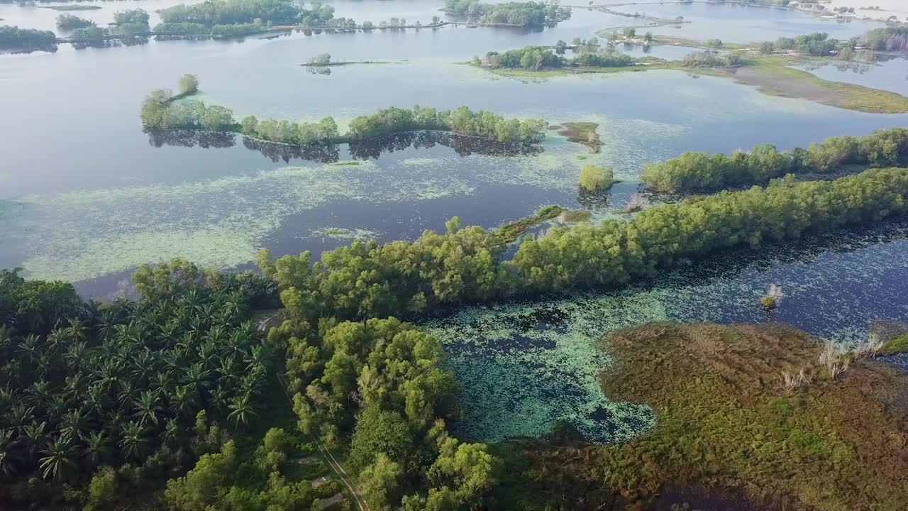 无人机拍摄马来西亚湿地视频素材