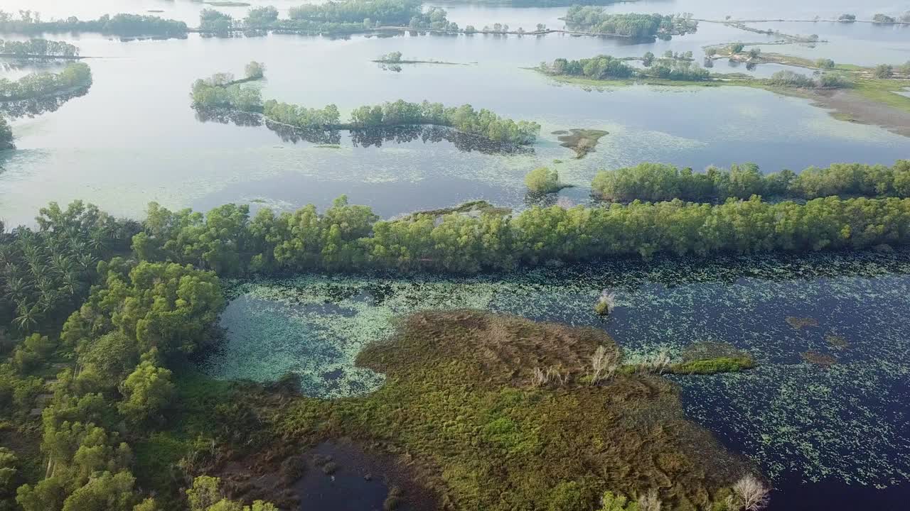 无人机拍摄马来西亚湿地视频素材