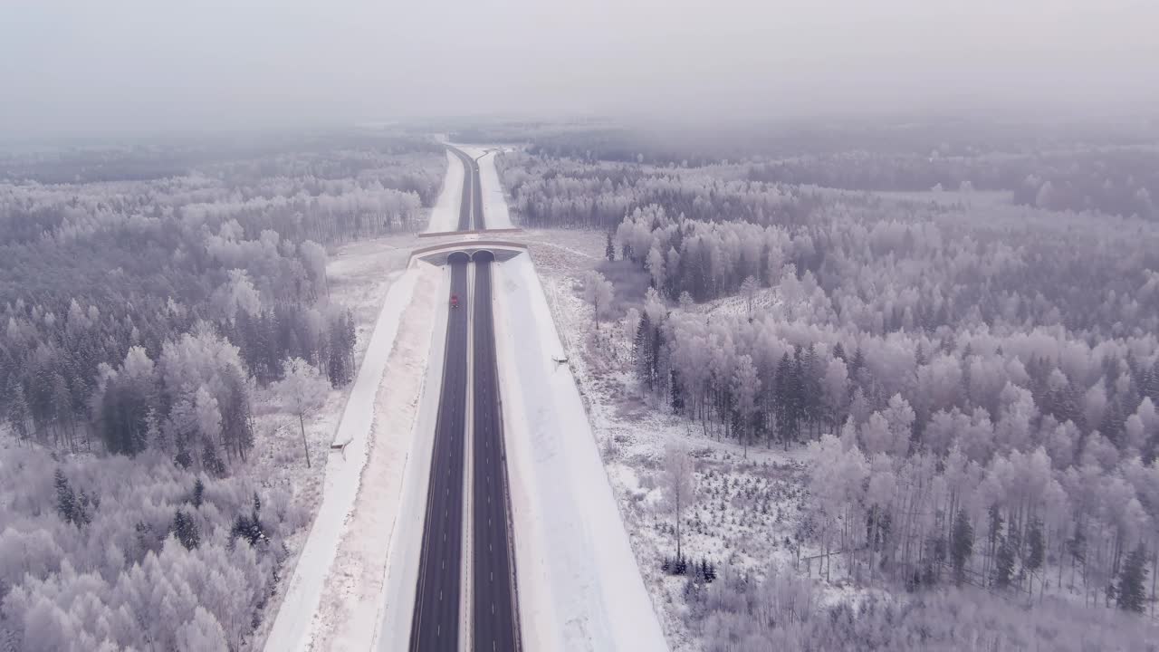 无人机拍摄的爱沙尼亚高速公路和周围的雪林。视频素材