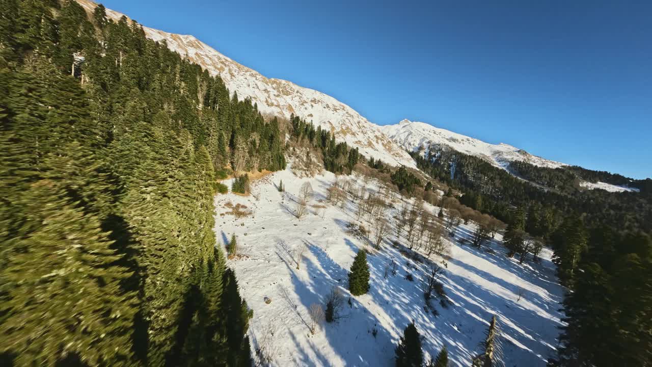 FPV运动无人机飞行之间的冷杉云杉山坡冬季全景视频素材