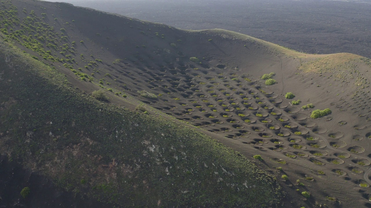 兰萨罗特拉赫里亚葡萄园火山景观鸟瞰图视频素材