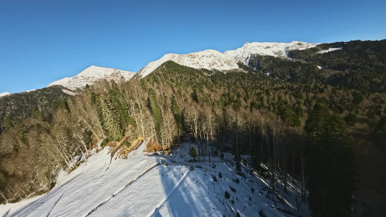 森林冬季山谷冷杉云杉环绕雪山山峰视频素材