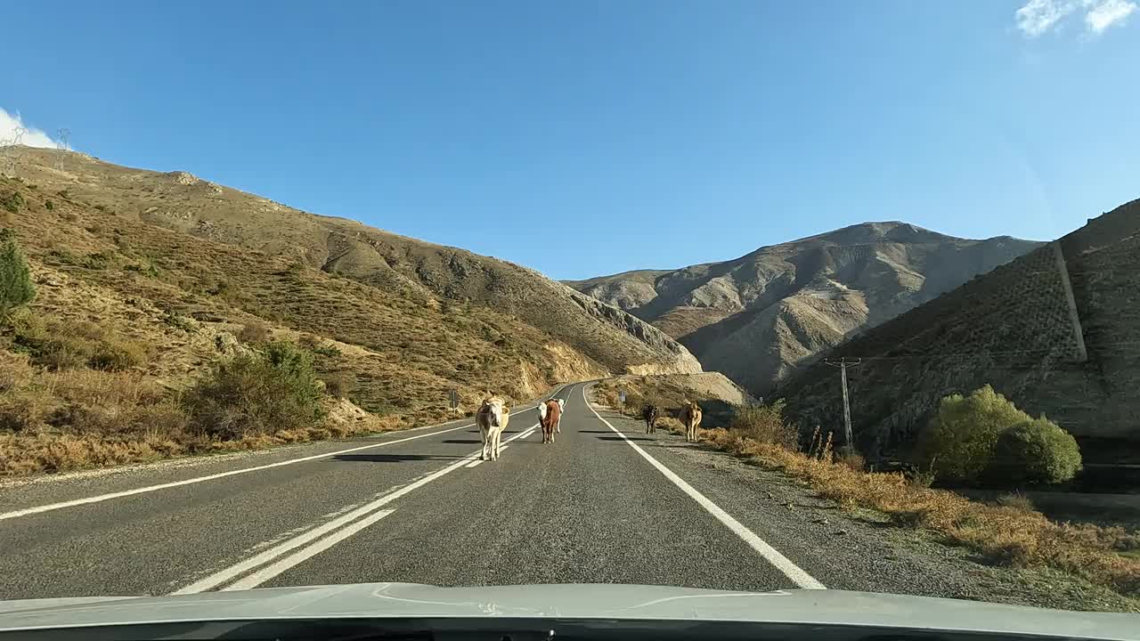 在山路上行驶的汽车视频素材