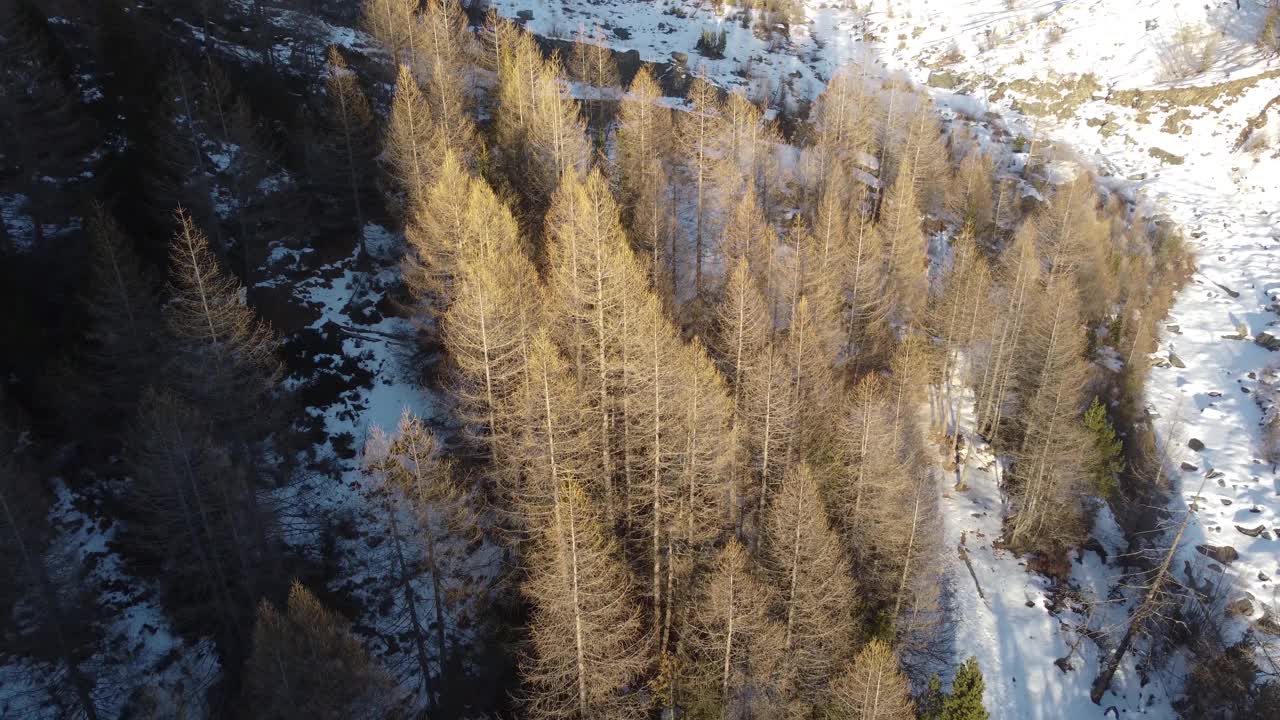 冬季景观以雪为主，雄壮雄壮视频素材