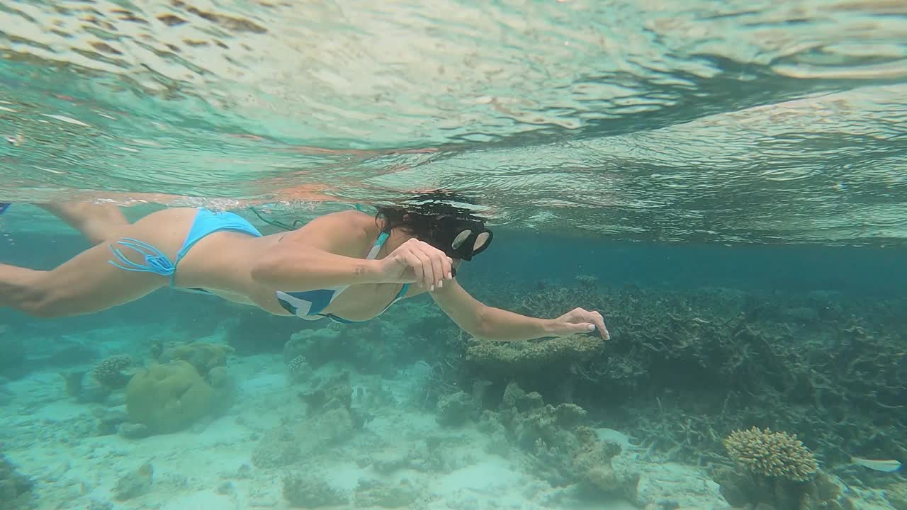 水下的观点，一个女人浮潜在珊瑚礁视频素材