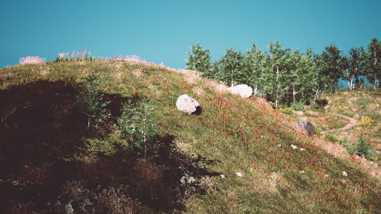 美丽的比利牛斯山谷全景景观视频素材