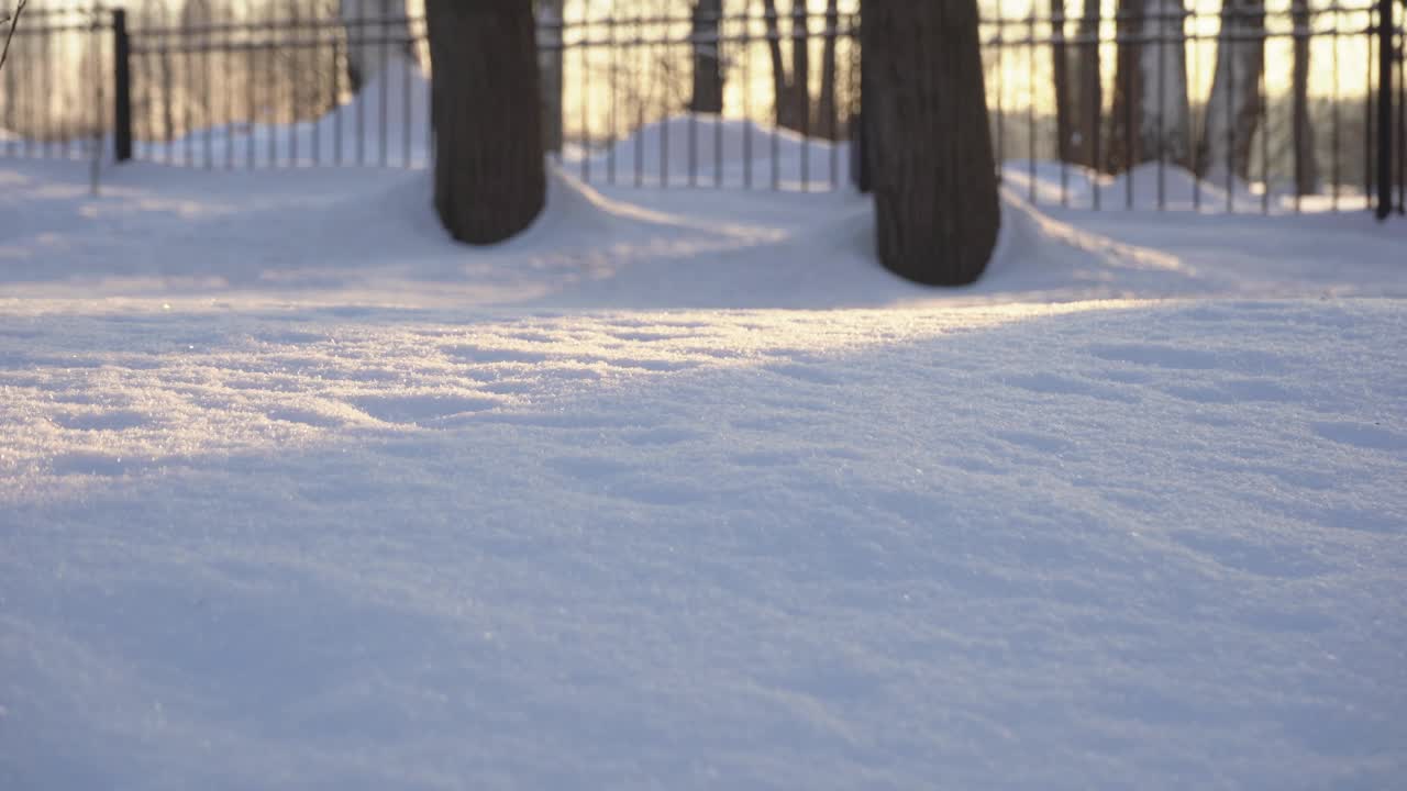 冰雪覆盖的公园视频下载