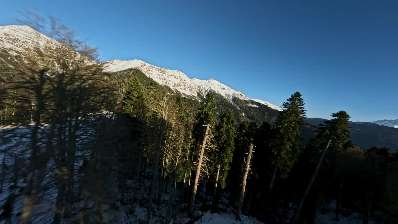 森林冬季山谷树木环绕雪山山峰如画全景鸟瞰视频素材