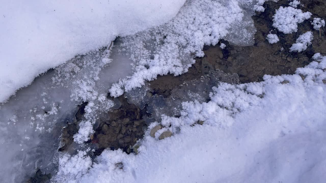 森林小溪在冰雪中流淌视频素材