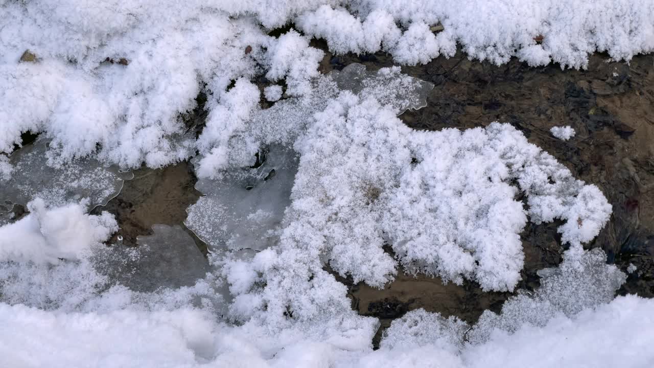 森林小溪在冰雪中流淌视频素材