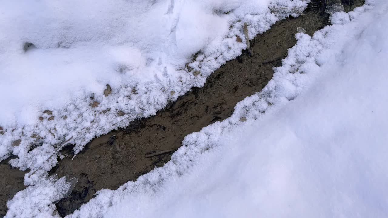 森林小溪在冰雪中流淌视频素材