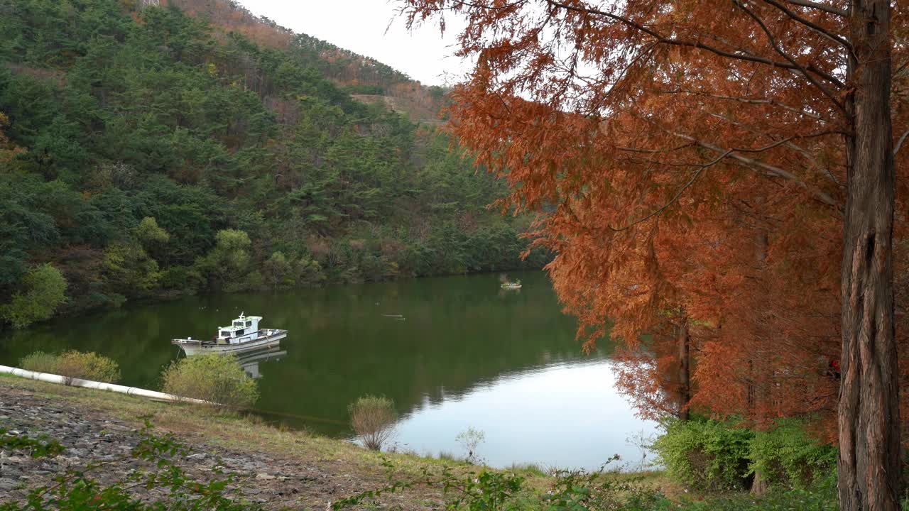 韩国釜山龙索幸福公园的秋天森林和湖泊视频素材