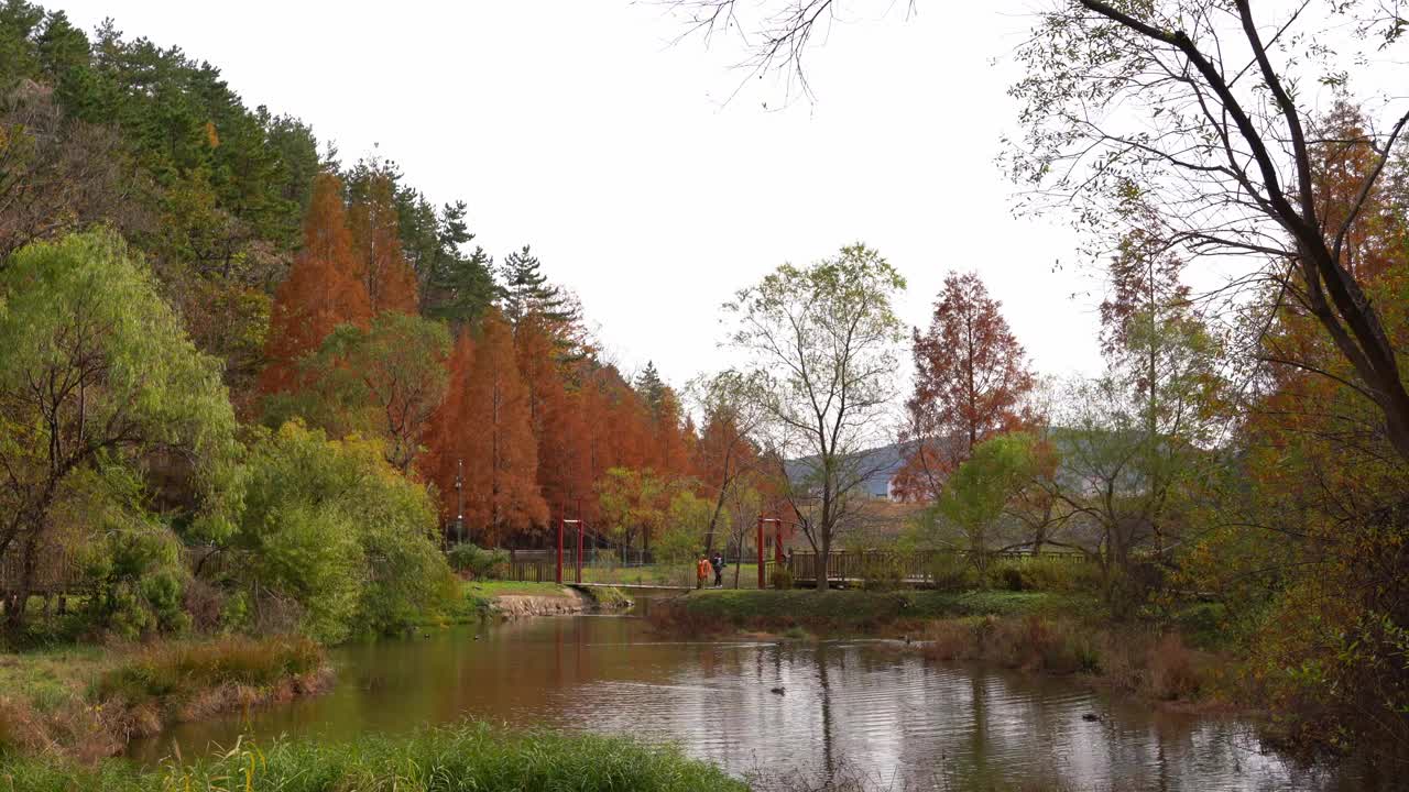 韩国釜山龙索幸福公园的秋天森林和湖泊视频素材