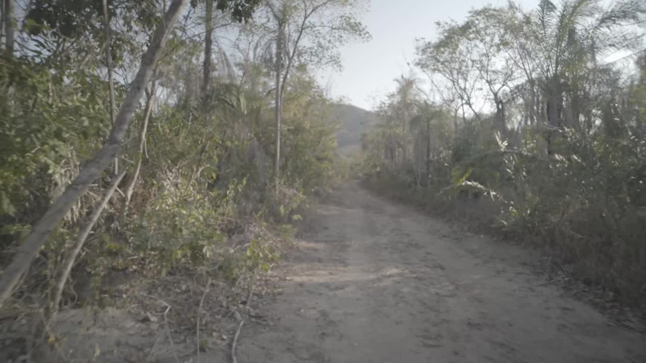 沼泽中间的土路视频下载