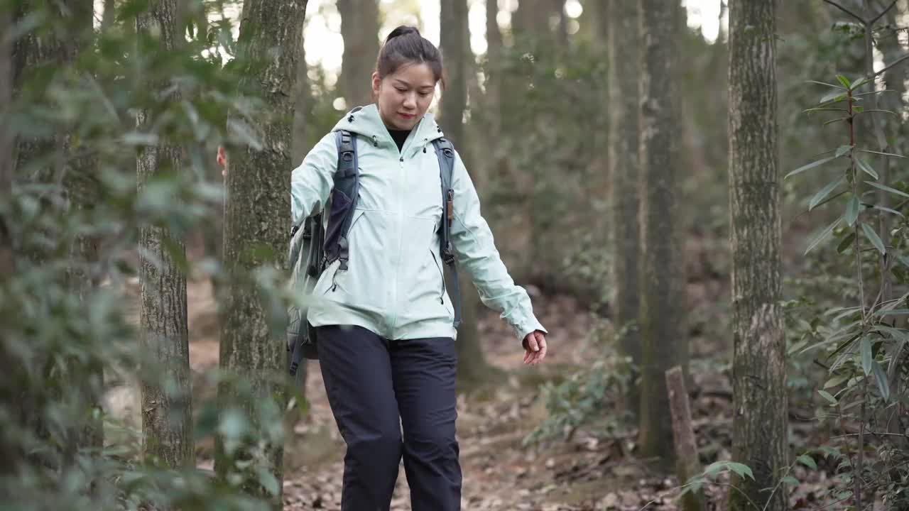 徒步旅行者走在森林小径上视频素材