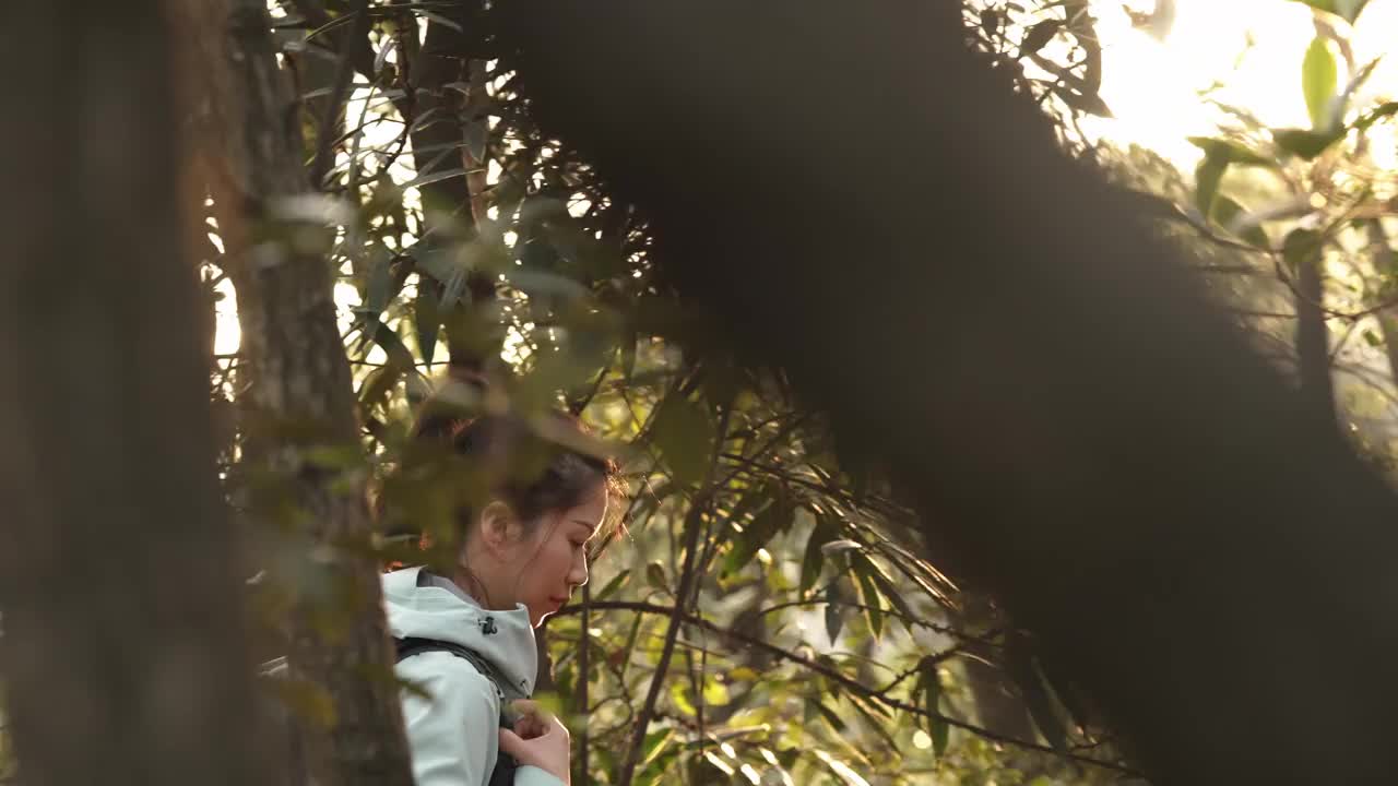 女性徒步旅行者走在森林小径上日落视频素材