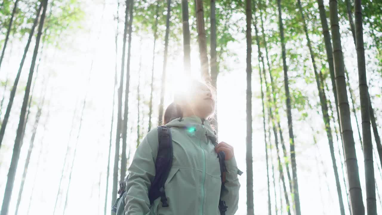 女人张开双臂，低角度观看竹林视频素材