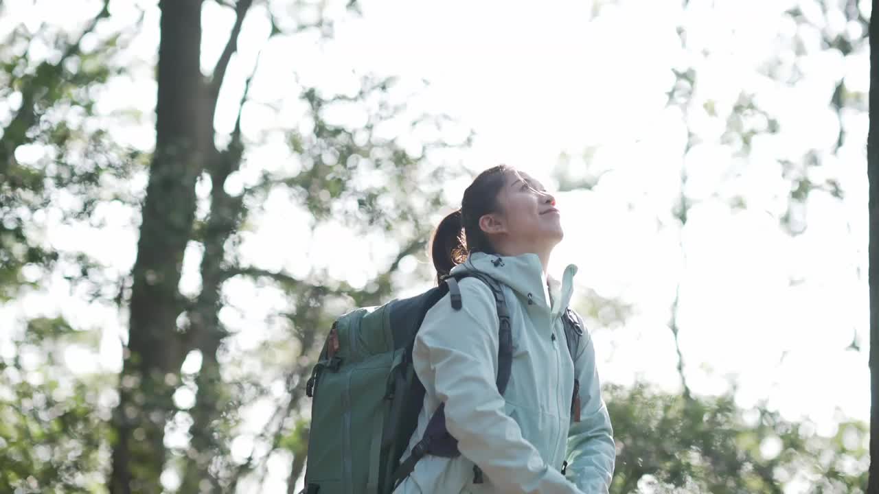 女人与手臂伸展站在植物的后视图视频素材