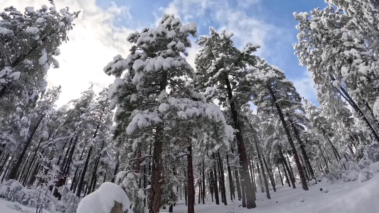 冬天的景色视频素材