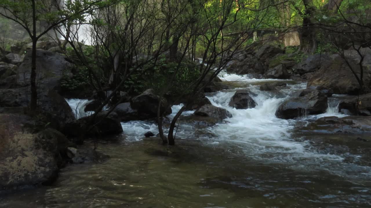 在雨林中流动的溪水视频素材