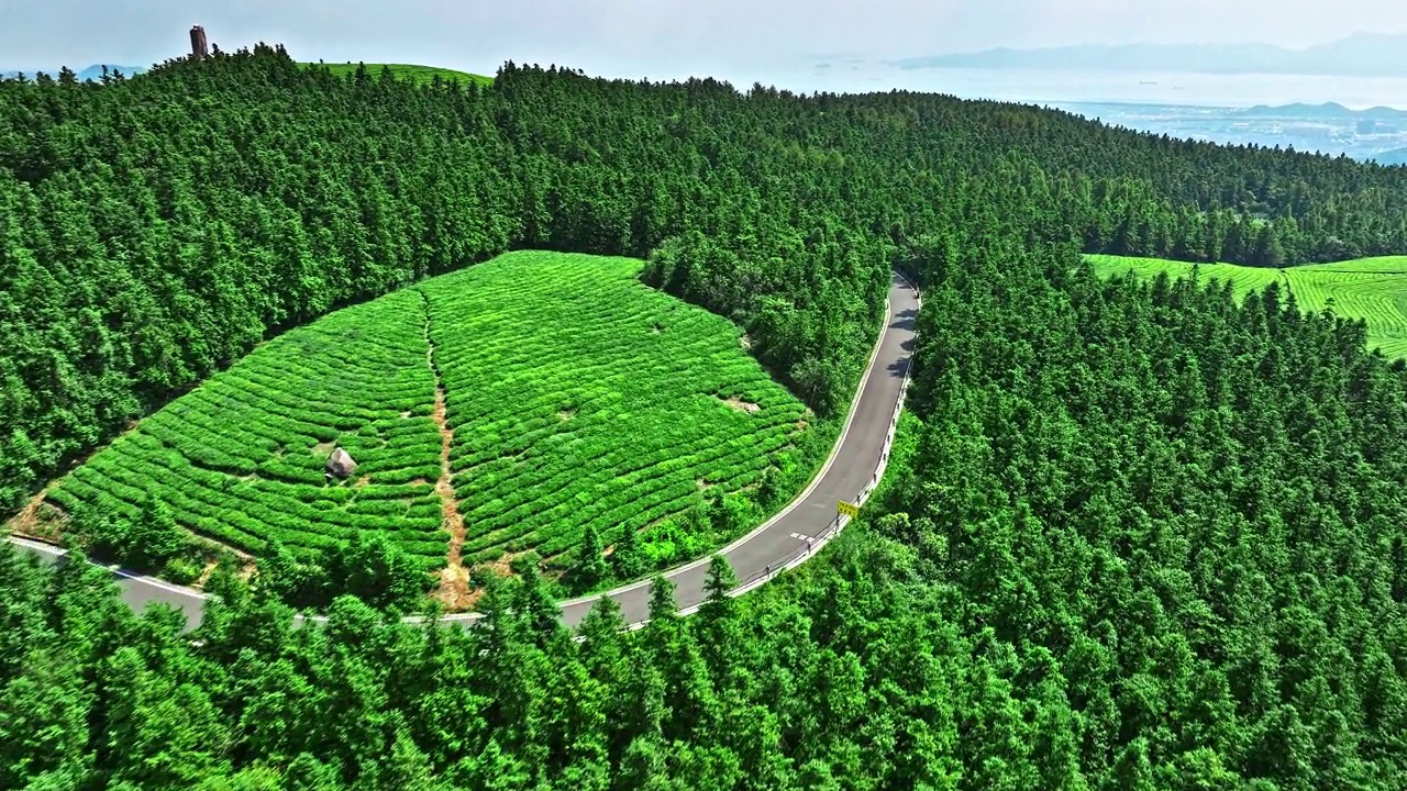 绿茶山自然景观视频素材