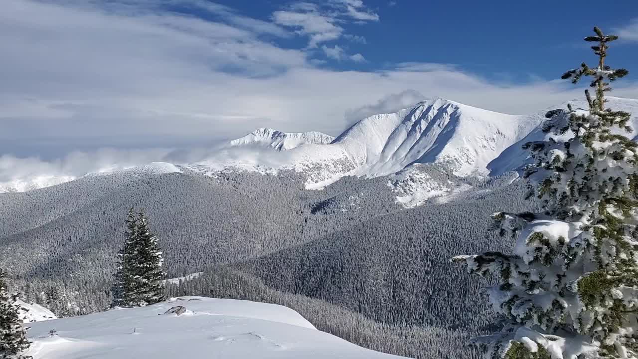 科罗拉多州大陆分水岭的冬季视频。白雪覆盖的山峰詹姆斯峰荒野地区。视频素材