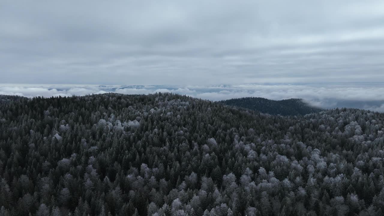 鸟瞰北方雪林冬季景观，降雪和第一次新鲜积雪覆盖的森林，自上而下的视图。视频素材