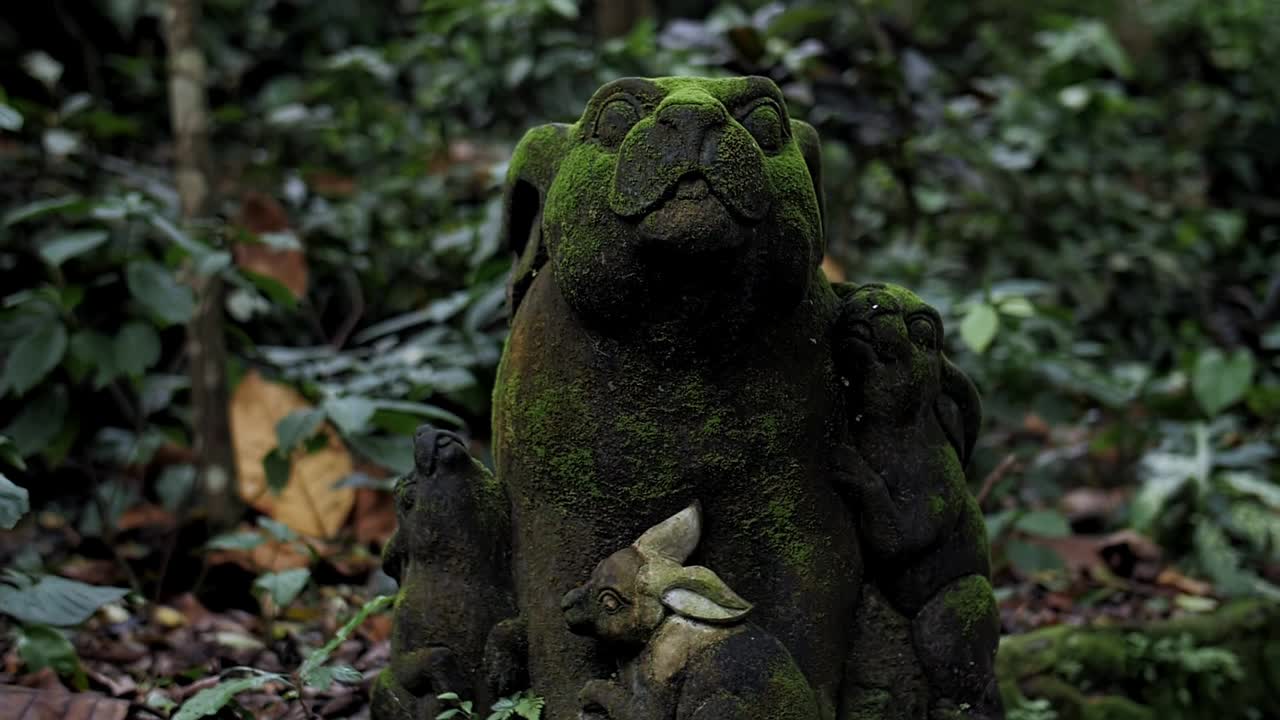 巴厘岛热带雨林中的古老雕像视频素材