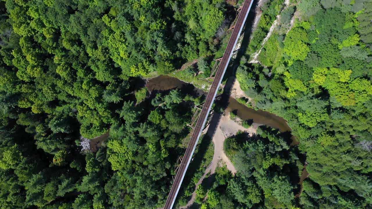 雨跟踪自然绿色的树顶盘旋无人机视频素材