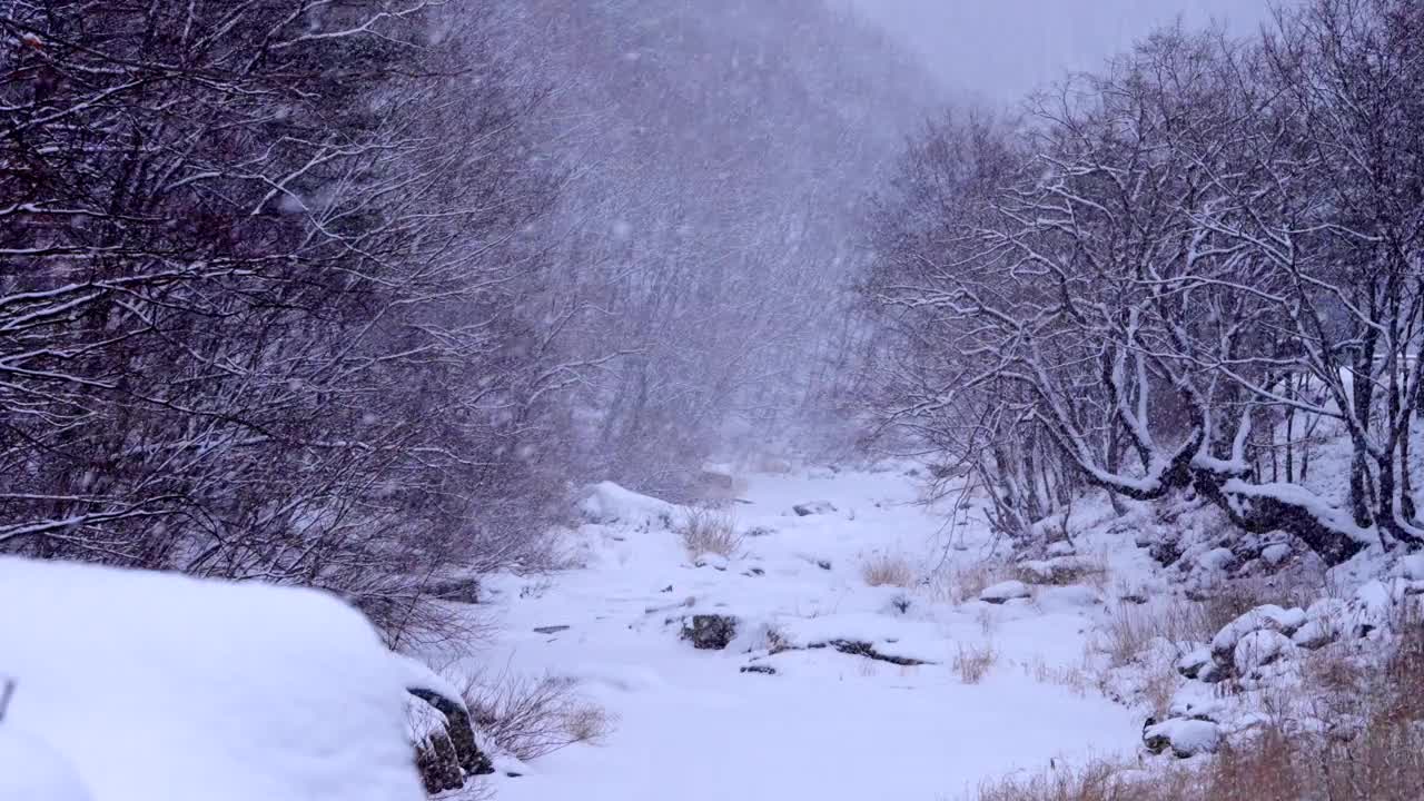 冬季山谷和大关岭山口的雪景/韩国江原道平昌郡视频素材