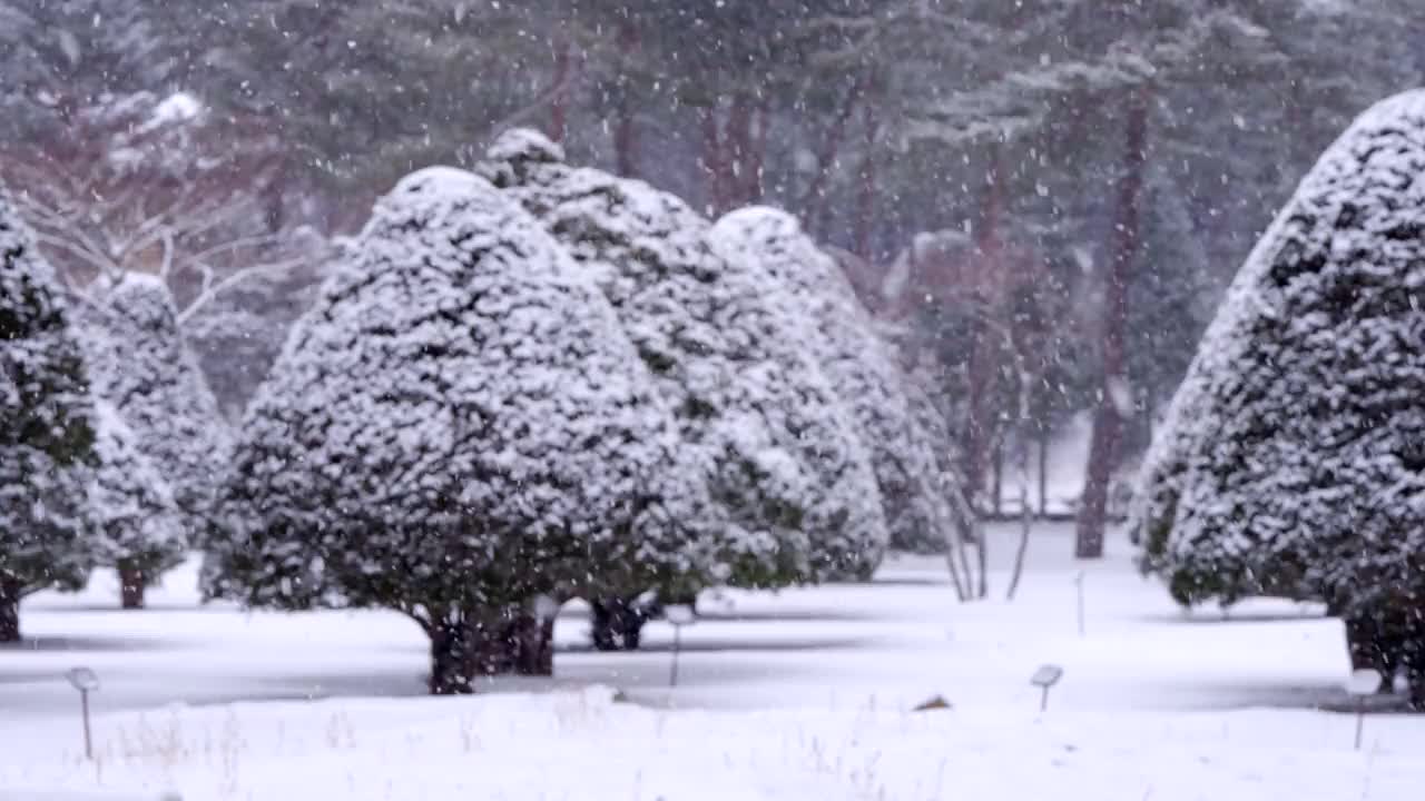 冬季大关岭山口的雪景/韩国江原道平昌郡视频素材