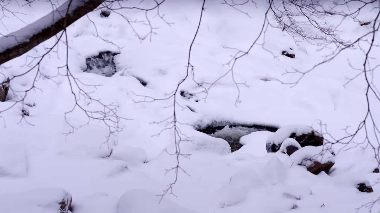 冬季山谷和大关岭山口的雪景/韩国江原道平昌郡视频素材