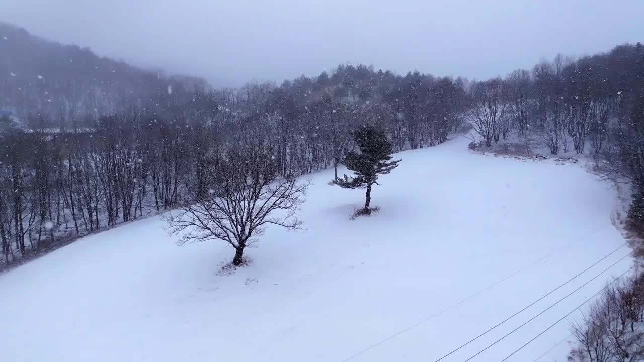 冬季大关岭山口的雪景/韩国江原道平昌郡视频素材