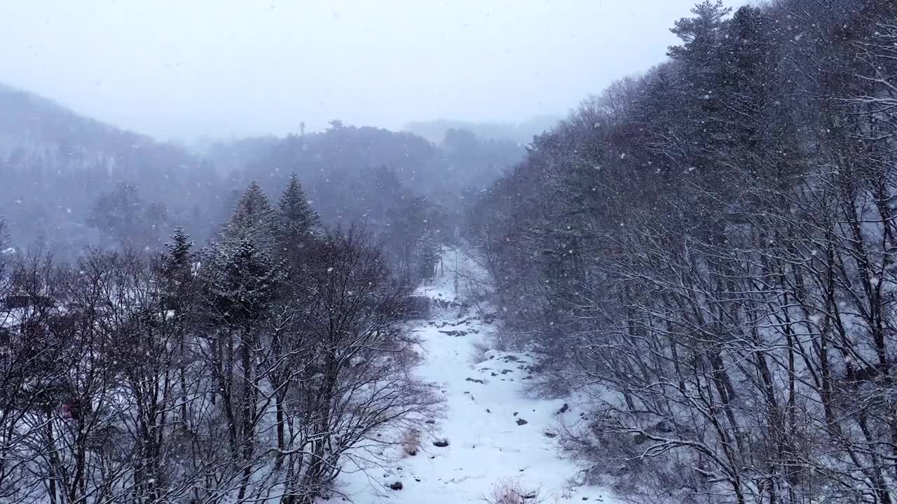 冬季大桥、山谷和大关岭山口的雪景/韩国江原道平昌郡视频素材