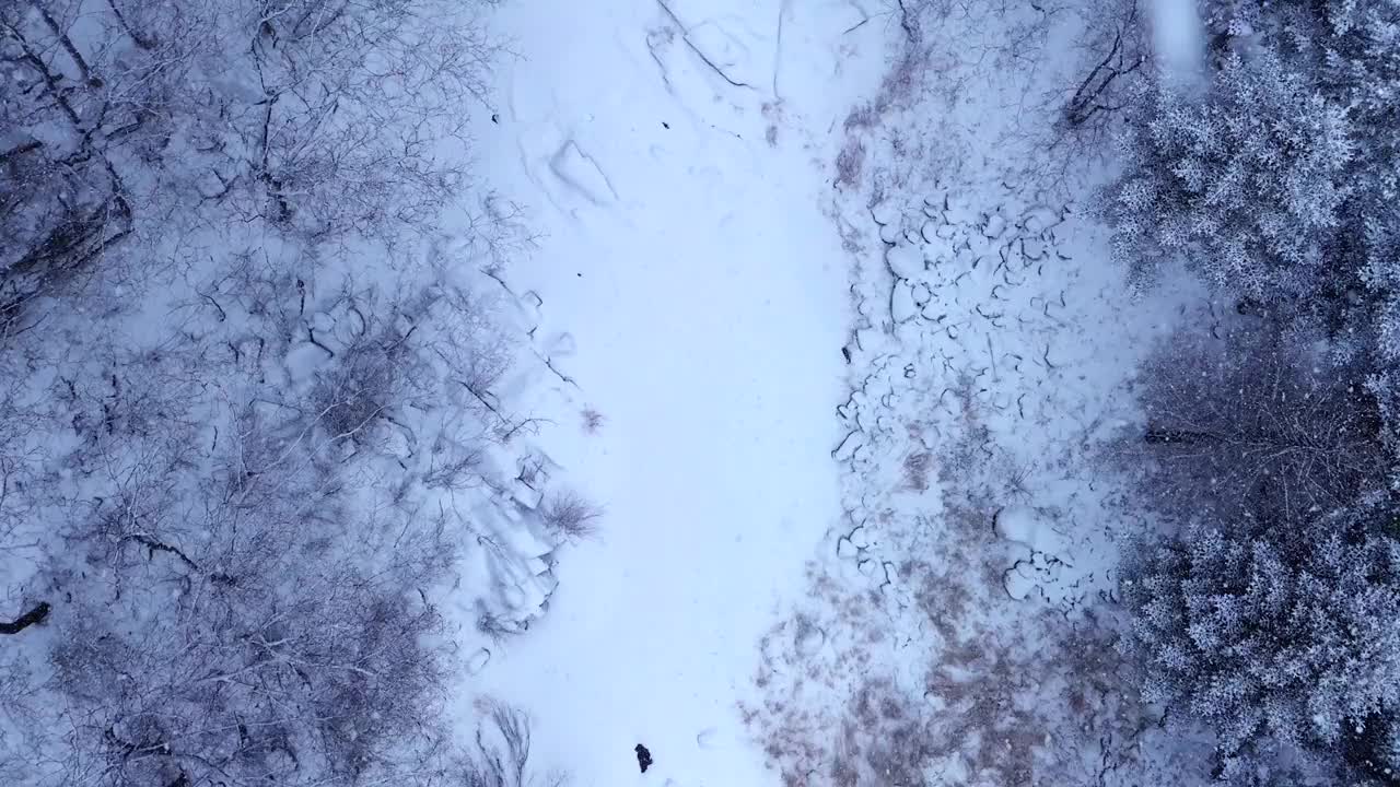 冬季山谷和大关岭山口的雪景/韩国江原道平昌郡视频素材