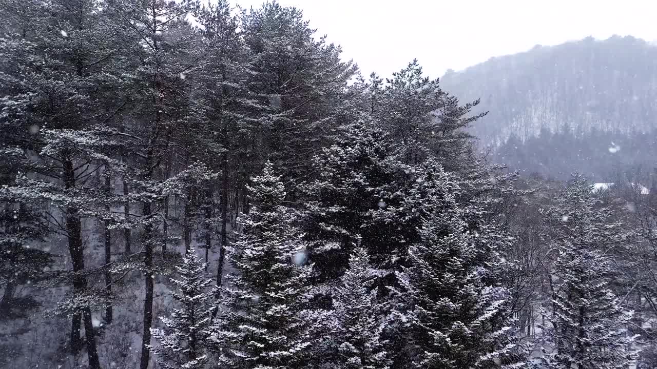 韩国江原道平昌郡冬季大关岭山口雪景视频素材