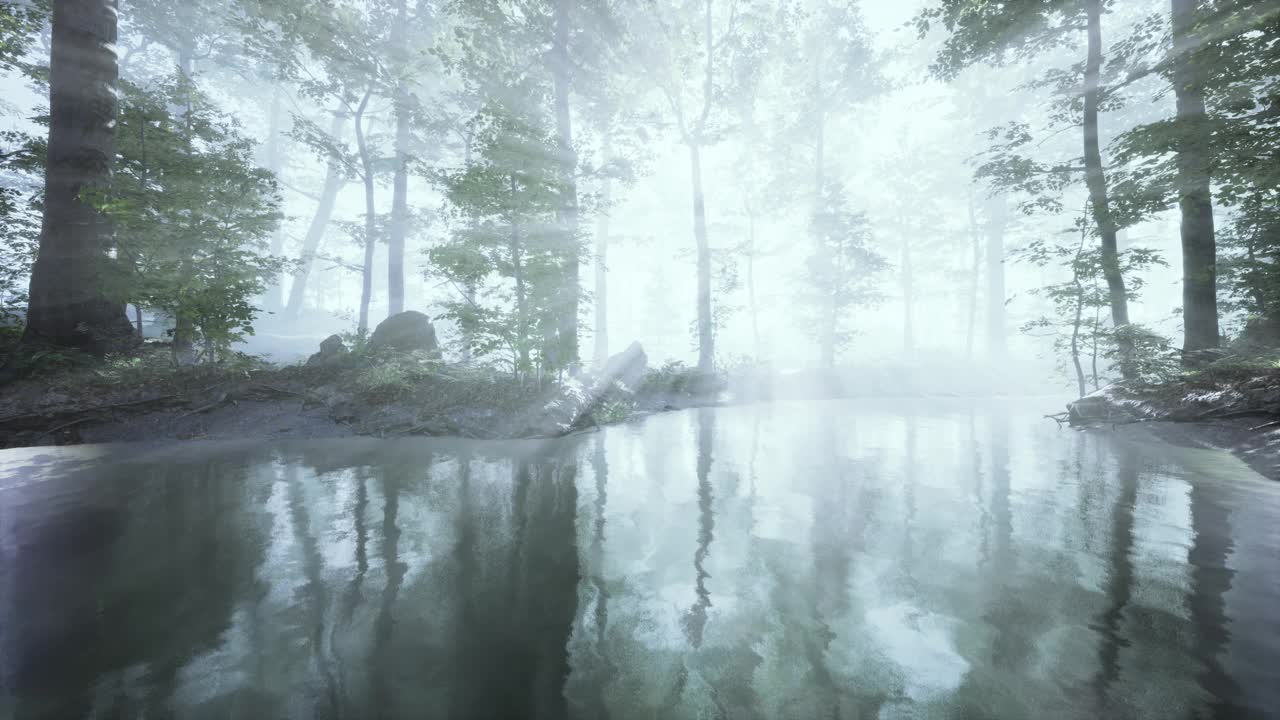 清晨，白色的浓雾笼罩着池塘视频素材