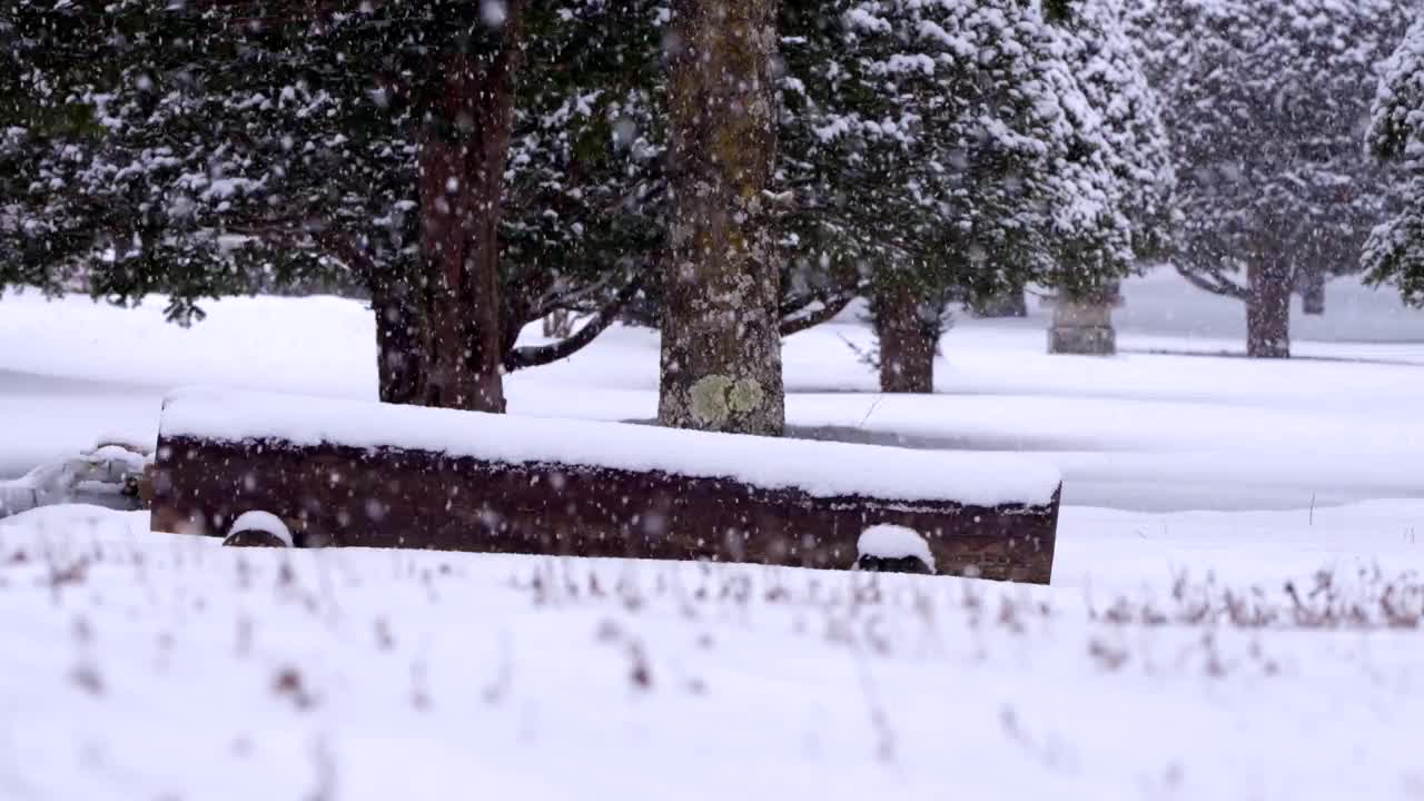 冬季大关岭山口的雪景/韩国江原道平昌郡视频素材