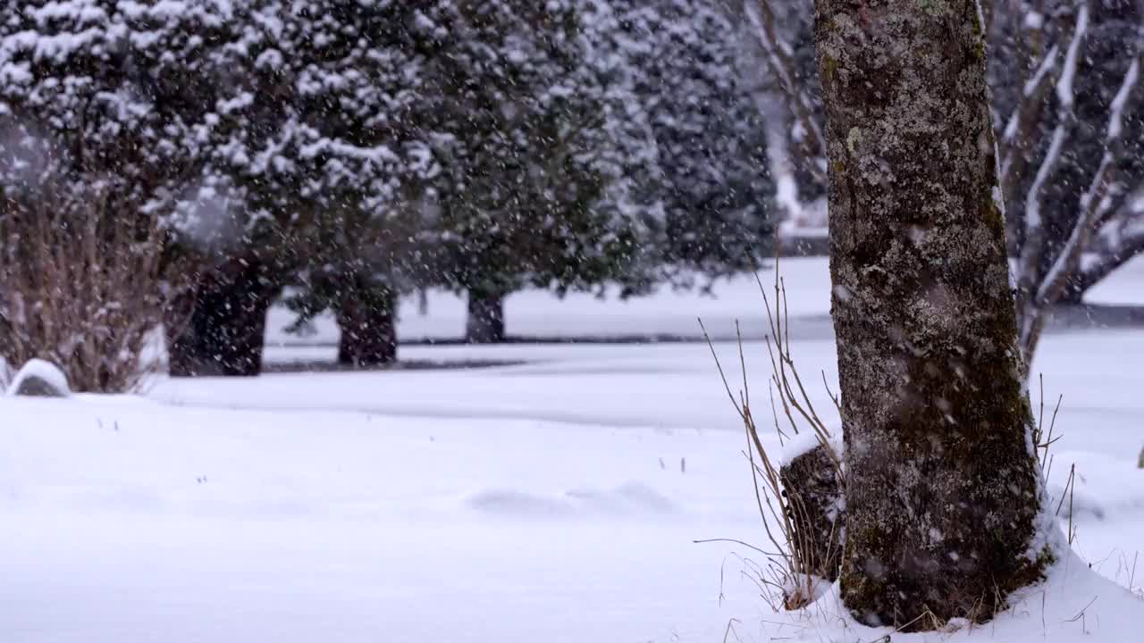 冬季大关岭山口的雪景/韩国江原道平昌郡视频素材