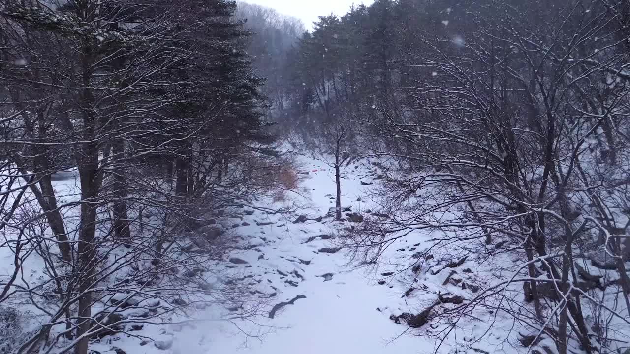 冬季山谷和大关岭山口的雪景/韩国江原道平昌郡视频素材