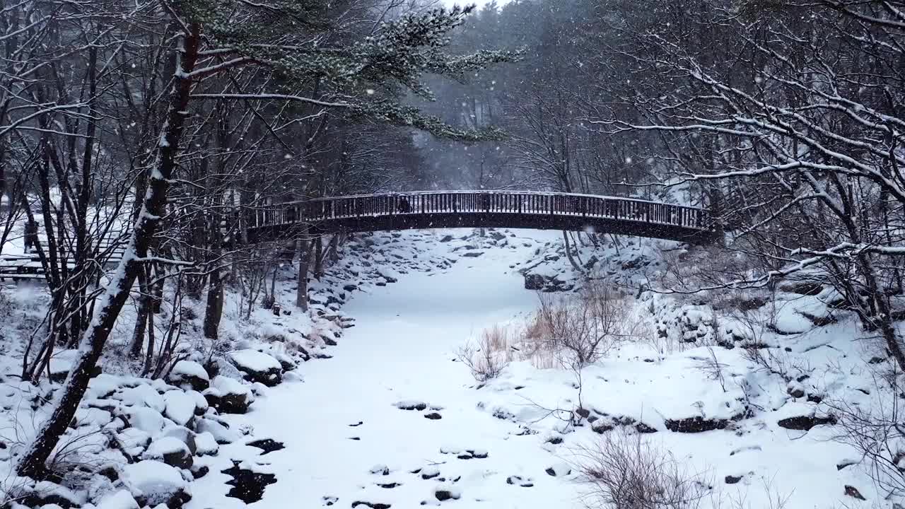 冬季大桥、山谷和大关岭山口的雪景/韩国江原道平昌郡视频素材