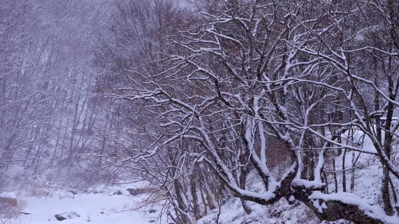 冬季山谷和大关岭山口的雪景/韩国江原道平昌郡视频素材