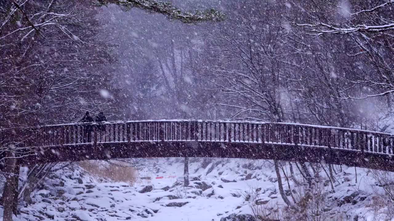 冬季山谷、桥梁和大关岭山口的雪景/韩国江原道平昌郡视频素材