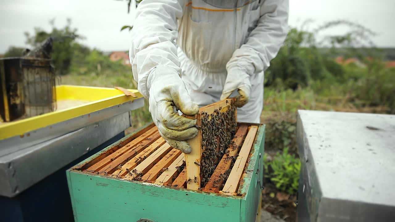 近距离的养蜂人的手与蜜蜂和蜂箱在蜂房。视频素材