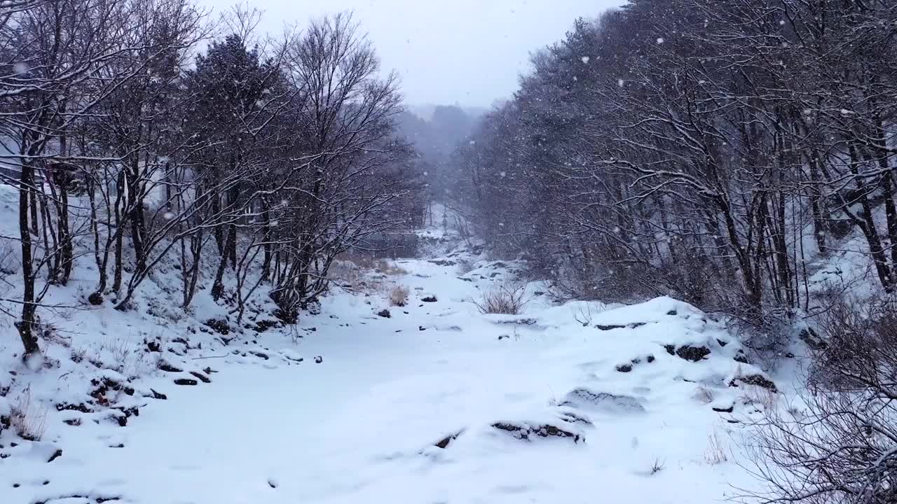 冬季大桥、山谷和大关岭山口的雪景/韩国江原道平昌郡视频素材