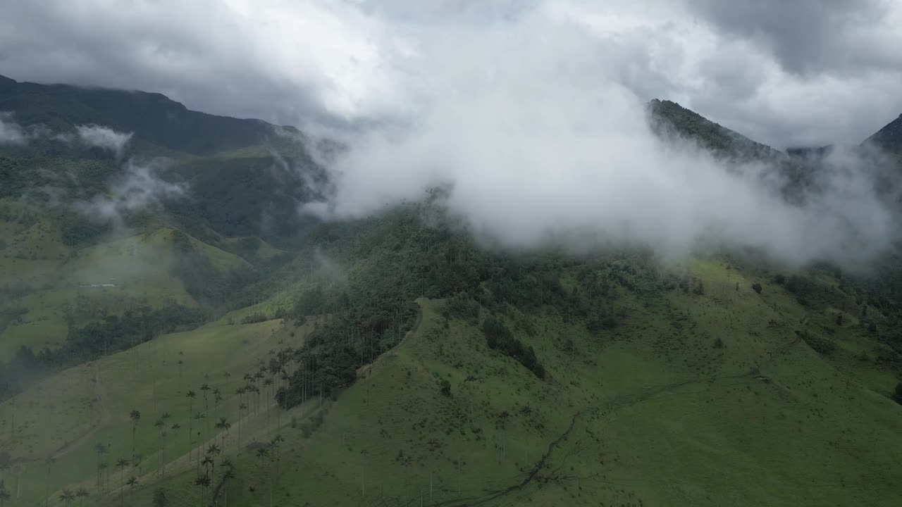 电影云雾森林空中视觉无人机在科科拉山谷哥伦比亚安第斯山脉森林附近萨伦托镇视频素材